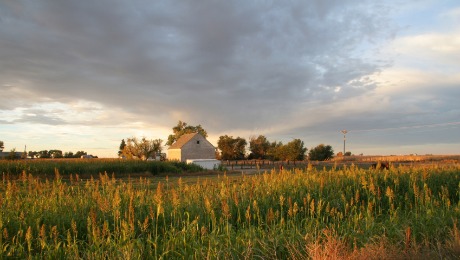 Farm Bill Impacts USDA Rural Housing Lending Availability